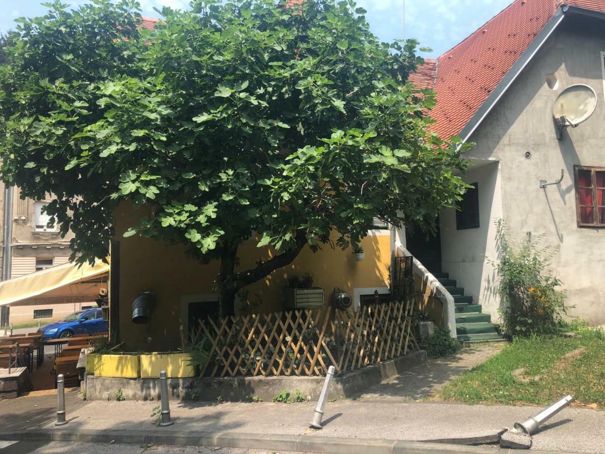 Apartment Tkalča Zagreb Bagian luar foto